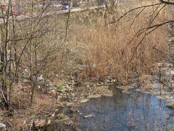Свалка пластиковых бутылок в речке – дорога в керченскую школу №4