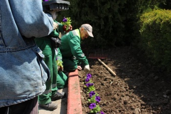 Керченский зеленхоз начал высадку цветов в сквере Славы
