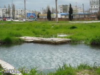 Раскопанные ямы на Куль-Обинском шоссе в Керчи заинтересовали фауну