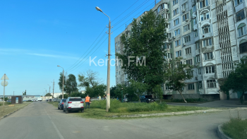 Косить траву начали на улице Ворошилова