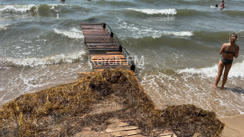 На Молодежном пляже прибрежную зону покрыло водорослями