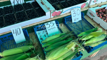 Обзор цен на овощи и фрукты на 23 июля в Керчи