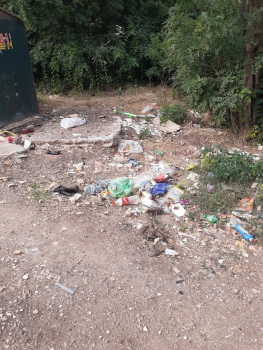 Керчане жалуются на вывоз мусора на ул. Клинковского