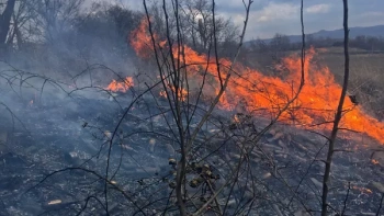 В Крыму почти 20 часов тушили возгорание сухой растительности