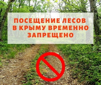 Запрет на посещение лесов Крыма и въезд в них продлен на 21 день